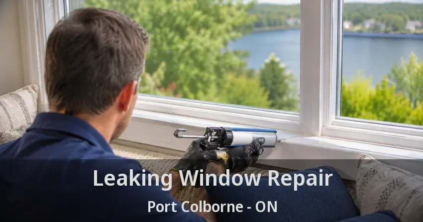 Leaking Window Repair Port Colborne - ON
